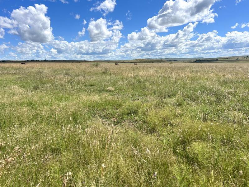 0 Bedroom Property for Sale in Lindley Free State